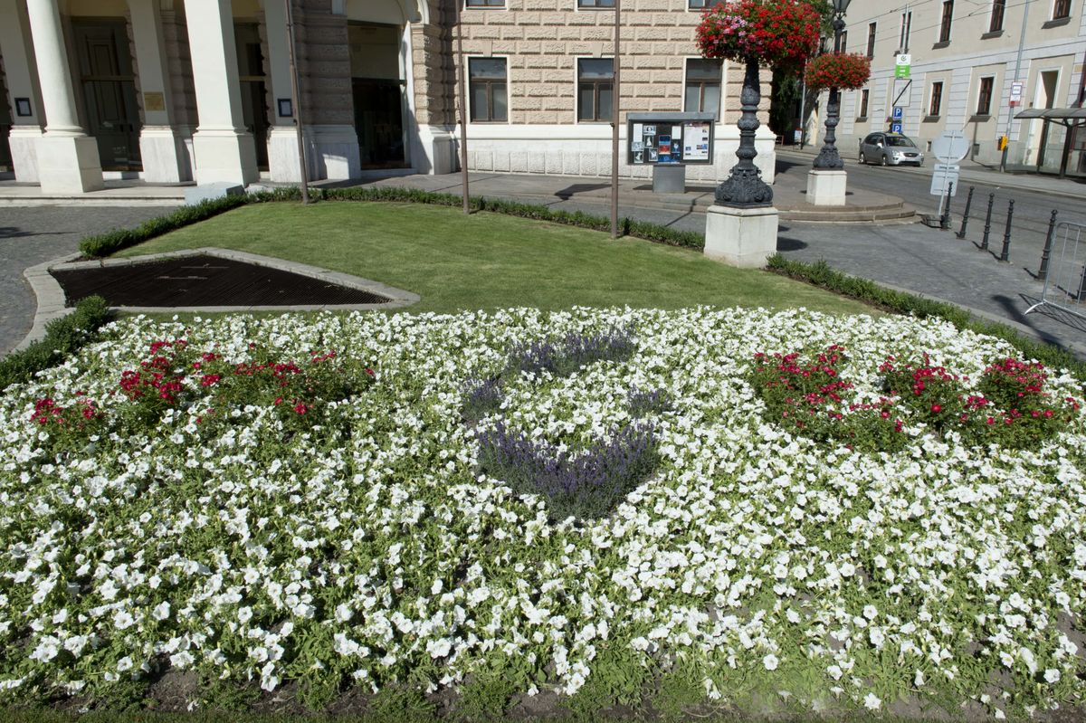 Slovak EU Presidency Gets Giant Flower Logo in Downtown Bratislava