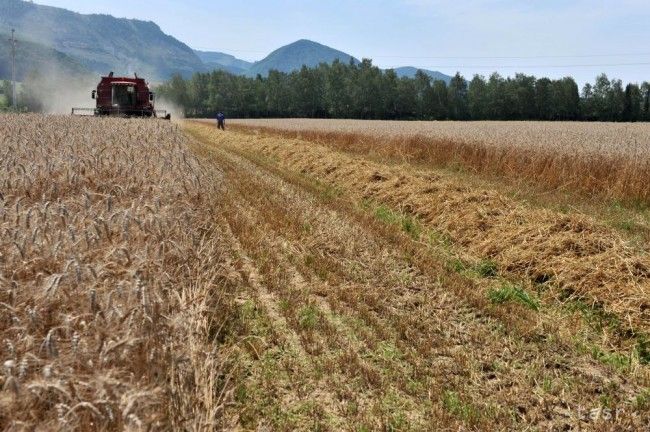 Slovakia's Deficit in Foreign Trade with Farming Products Falls in 2017