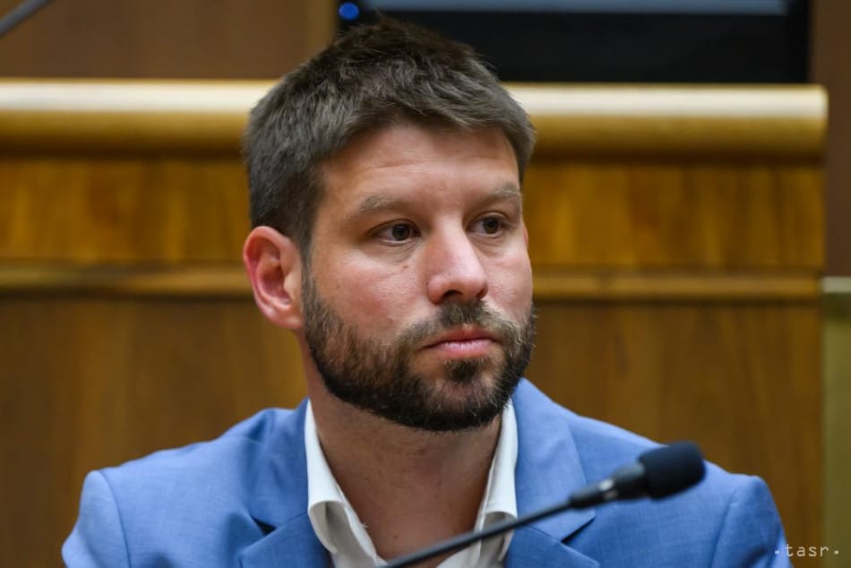 Smer-SD and SNS MPs Submit Motion to Oust Simecka from Post of House  Vice-Chair
