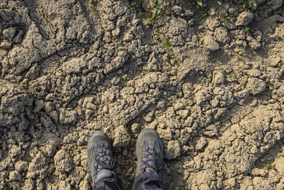 SPPK: Extreme Drought Has Already Affected Nearly 40 percent of Slovakia