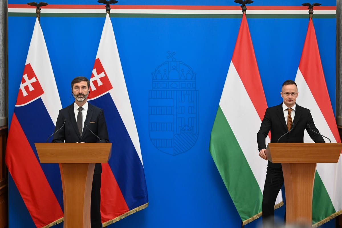 Blanar and Szijjarto Highlight Importance of Cooperation among V4 Countries