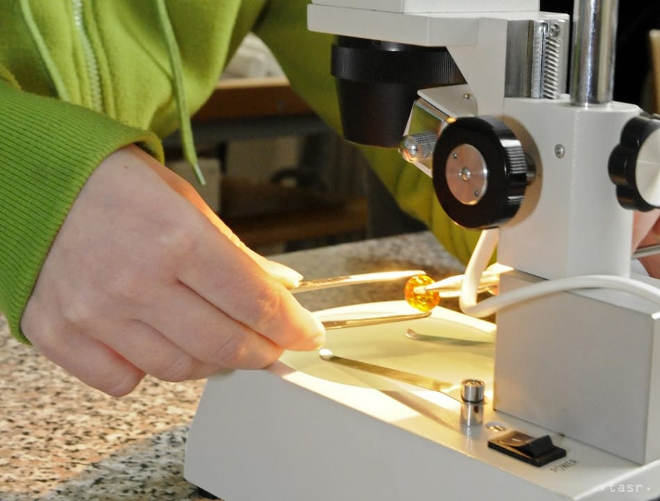 RUZ Calls on Politicians to Respect Science and Work of Scientists