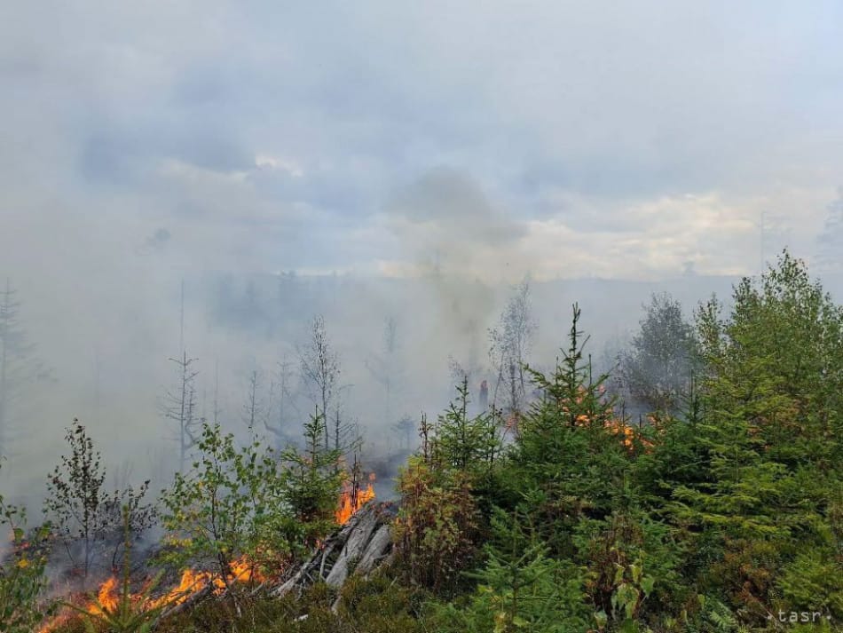 Firefighters Battle Forest Fire in Slovensky Raj