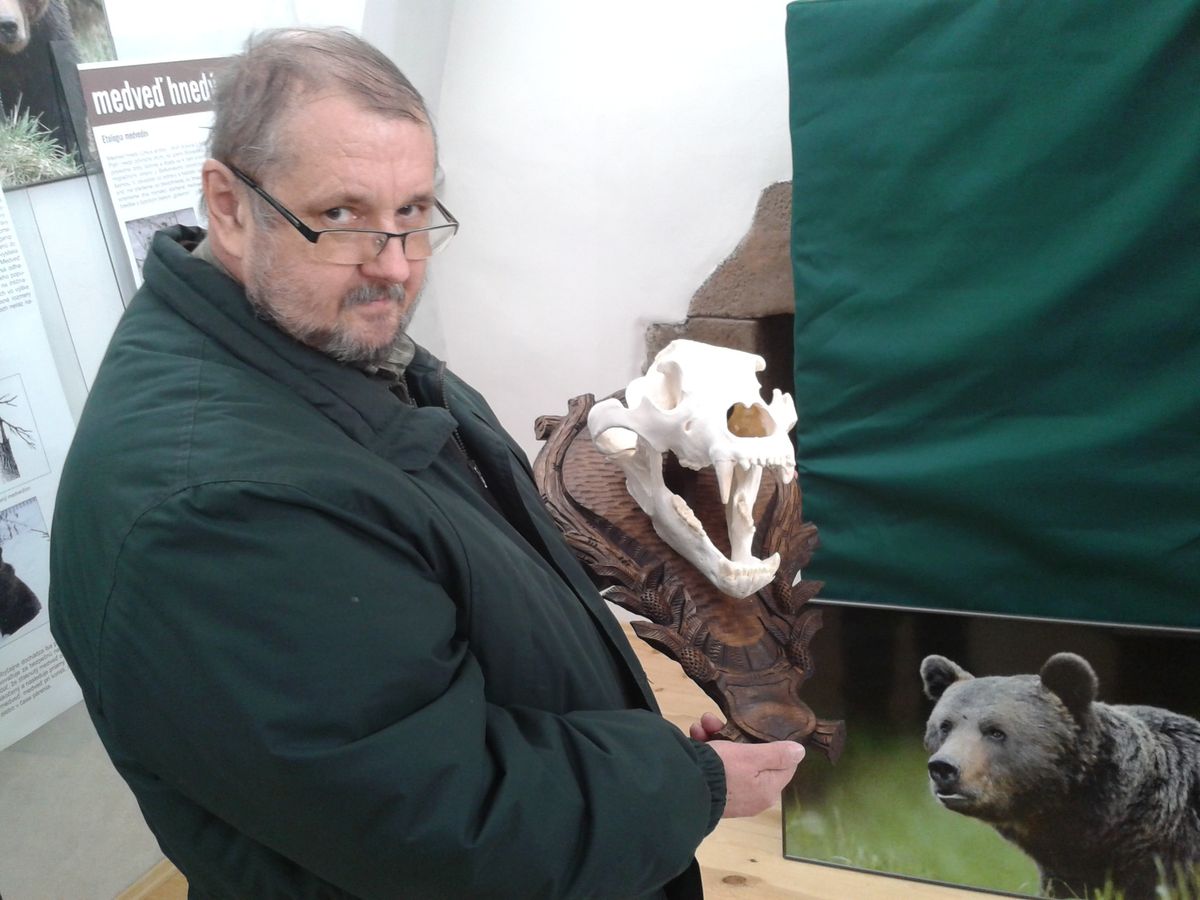 Brown Bear Exhibition in Zvolen Prolonged to End of March