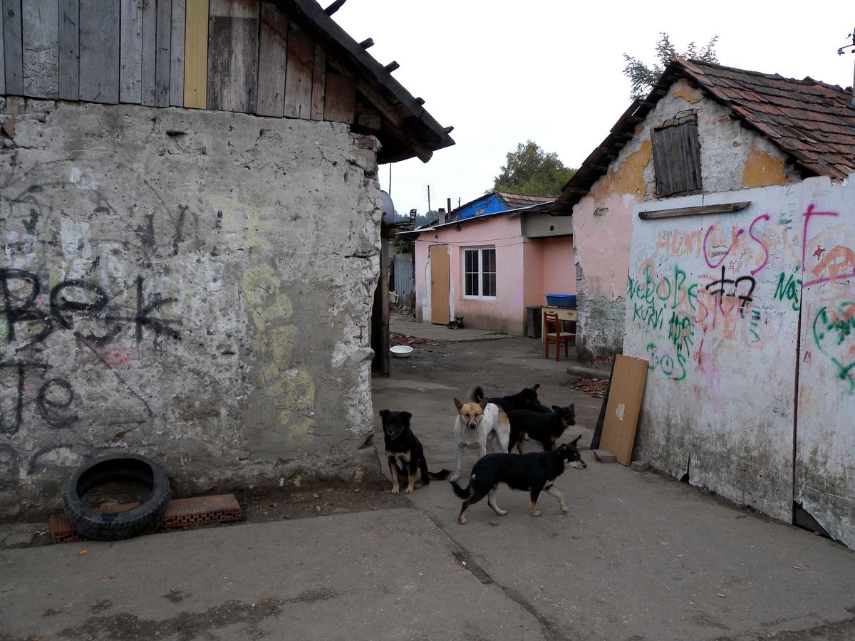 Illegal Construction Booms in Roma Settlement; Mayor Beat Up