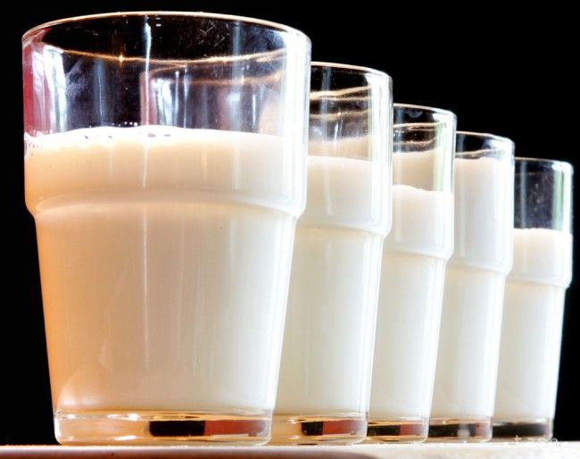 Agriculture Ministry Launches Project in Support of Dairy Producers