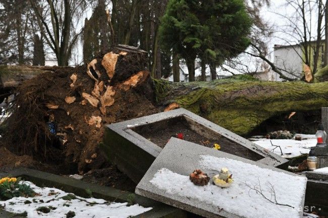 Windstorm Damages Graves at National Cemetery in Martin