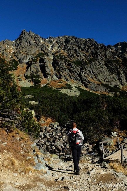 Environment Inspectorate to Look into OLaNO MP Tabak's Bathing in Tatra Stream