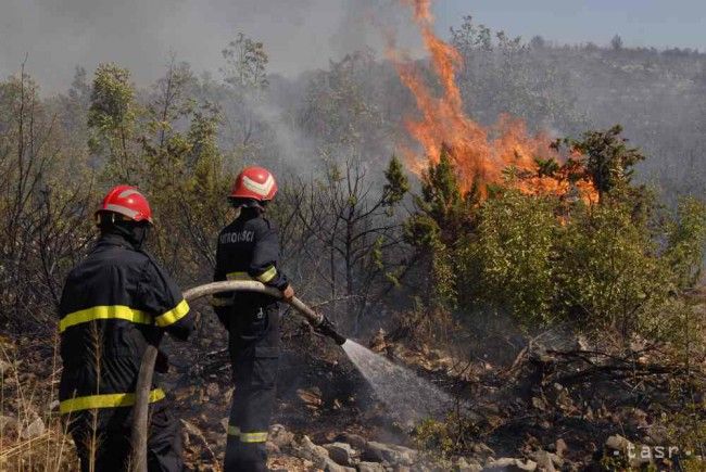 Blaze Near Mala Lodina Not Spreading for Time Being