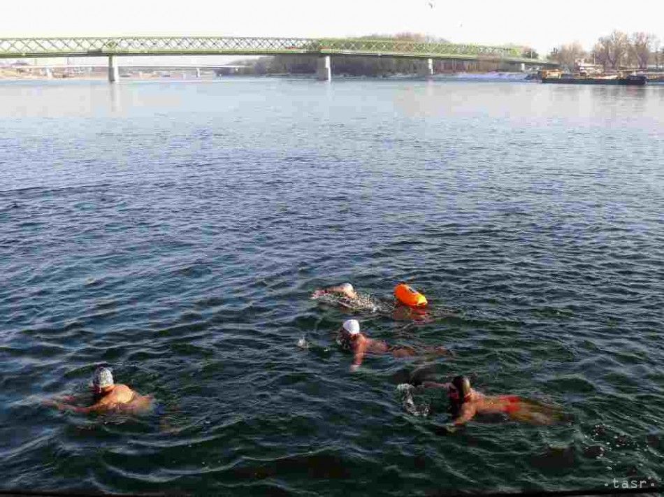 Piestany: 107 Swimmers Take Dip in 1.5 Degrees Celsius Water of Vah River