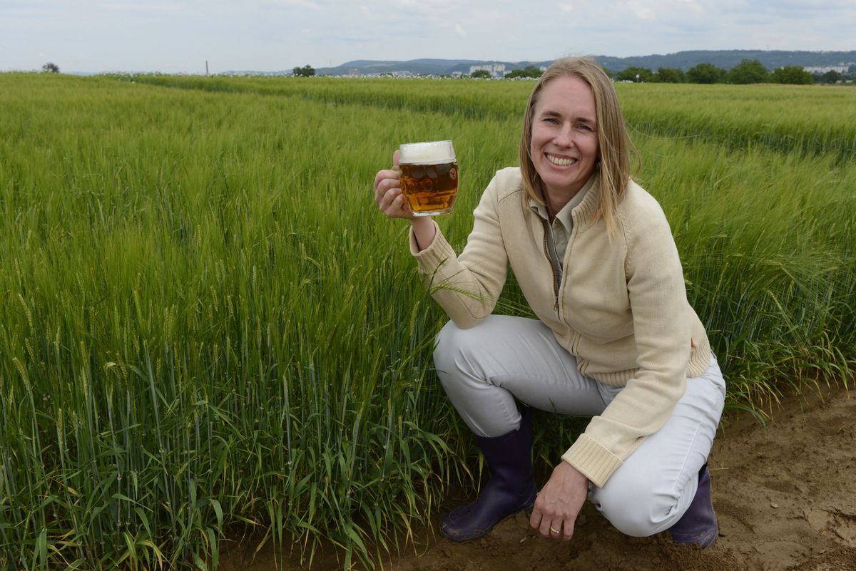 Slovakia Global Power in Malt Production, But Farmers Cut Barley Acreage