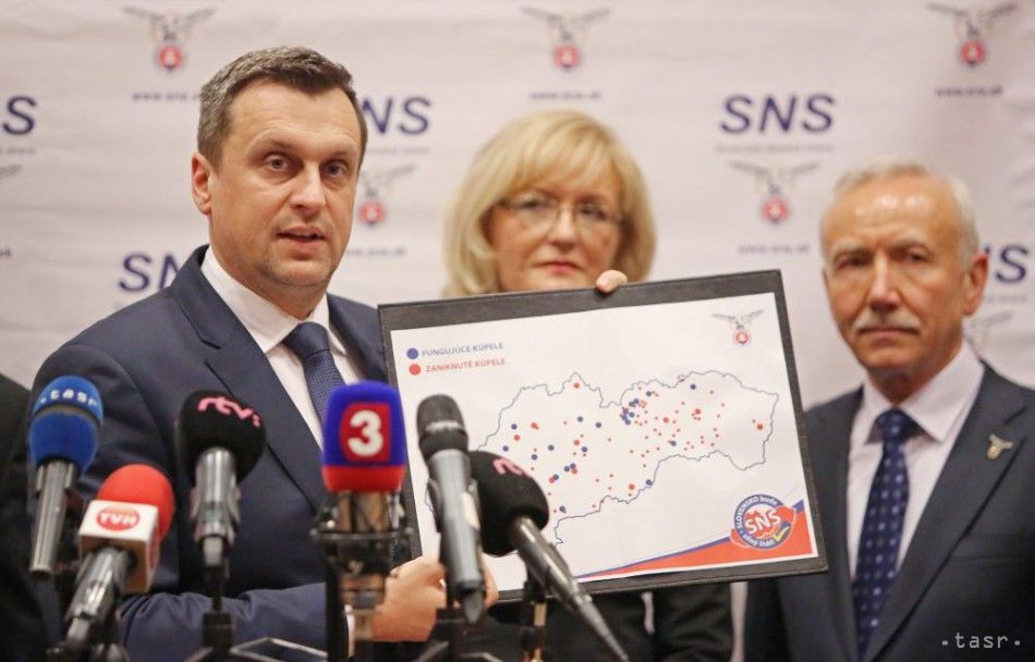 Zelnik Leaves SNS, Blames Danko for Party's Failure in Election