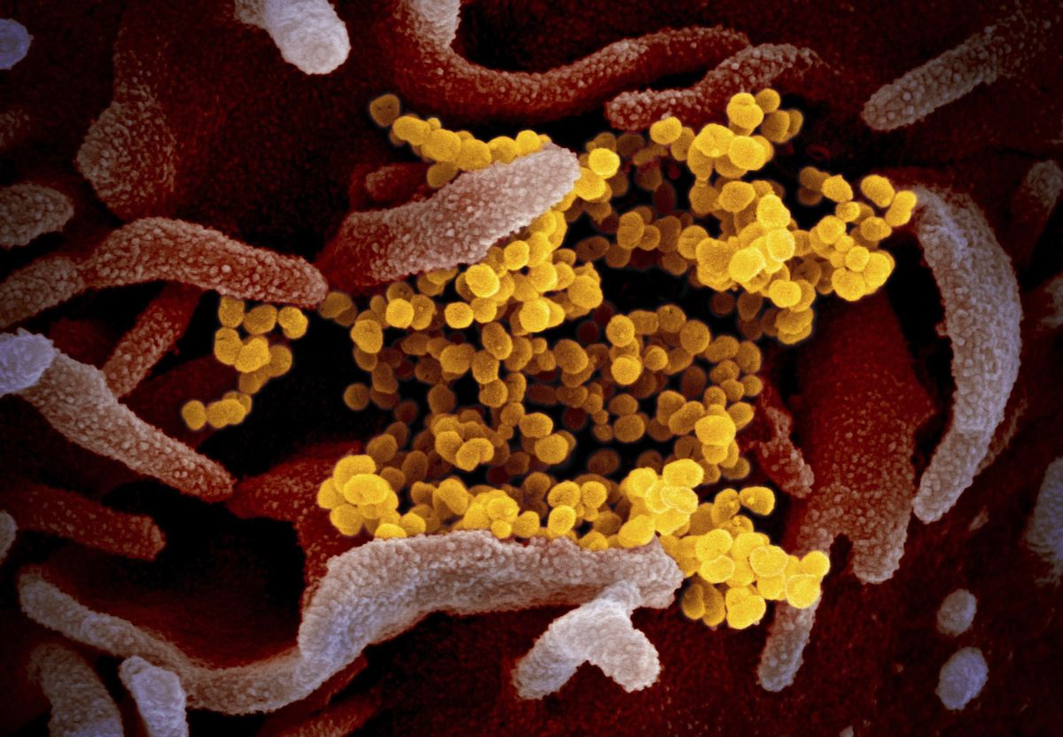Coronavirus: 72 New Cases, Total Tally Breaches 1,000 to Reach 1,049