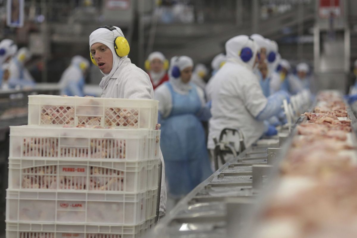 UHS: Bad Polish Poultry Meat Imported to Slovakia, Ruins Domestic Firms