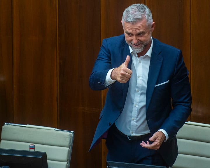 Tibor Gaspar Elected New Vice-chair of Parliament