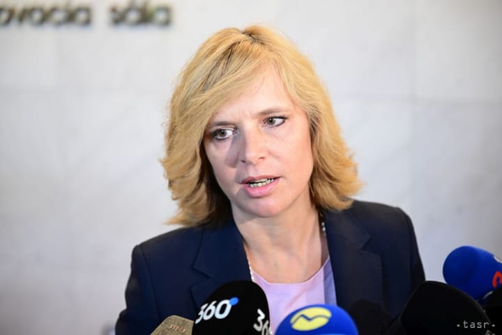 Remisova: Kmec's Subsidy Calls Accompanied by Serious Failures