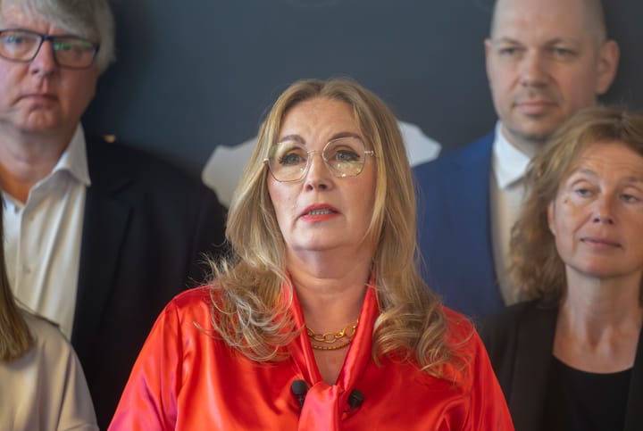 Pirate Party Leader Subova Wants to Bring Fundamental Change in Governing Bratislava
