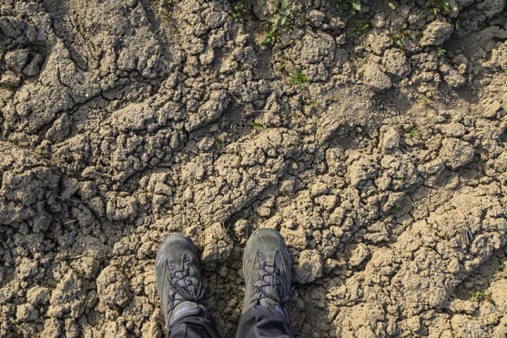SPPK: Extreme Drought Has Already Affected Nearly 40 percent of Slovakia