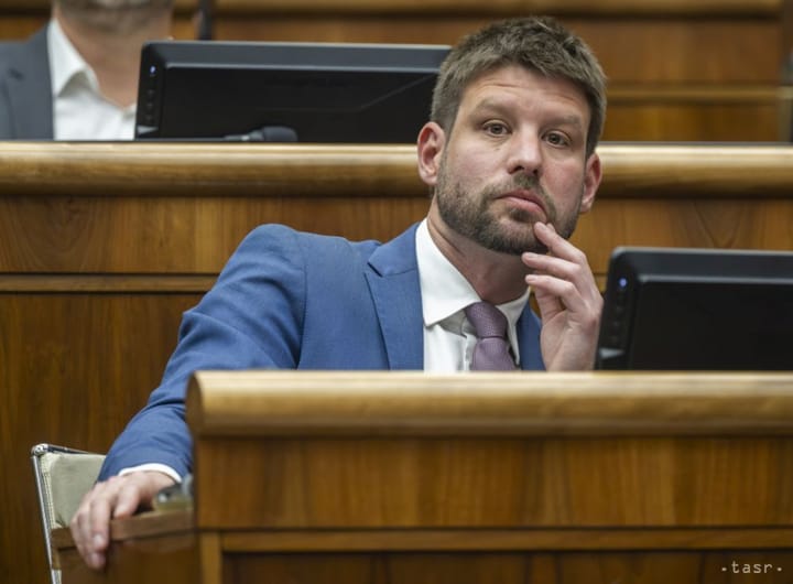 Simecka: We'll Exert Pressure to Have Early Election as Soon as Possible