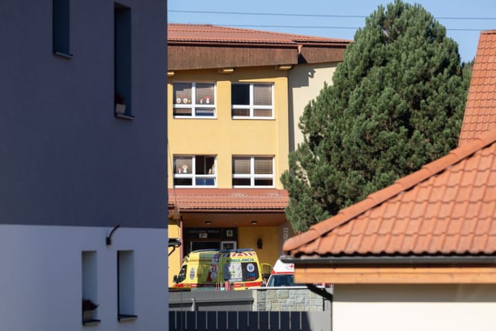Sutaj Estok: Primary School Knife Attack Carried Out by Eighth-grader