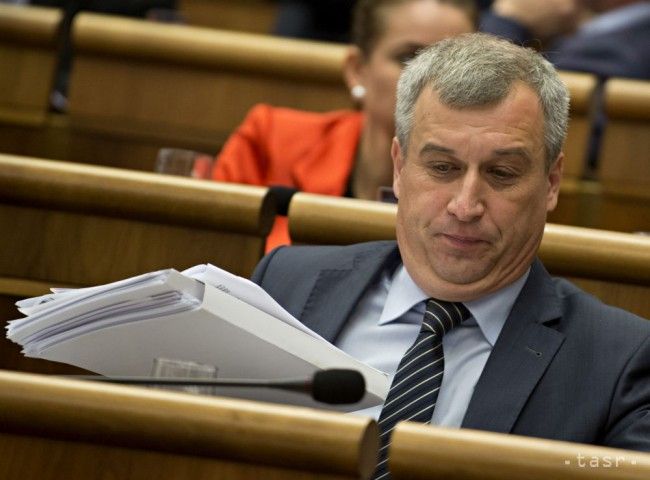 Zajac Thinks Hlina Could Become Member of KDH