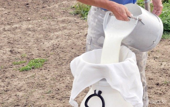 SMZ: Milk Production Down by 7 percent Y-o-Y in Slovakia