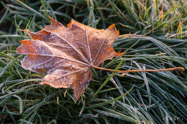 SHMU: Ground Frost May Hit Five Slovak Regions