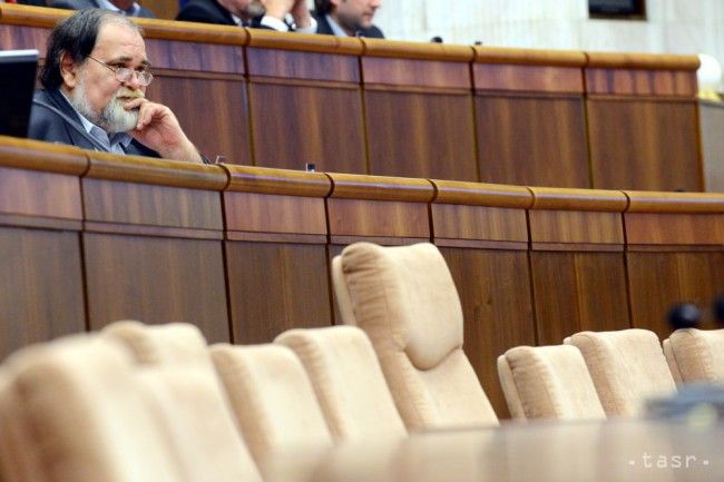 Ciz: Slovak Parliament Shouldn't Give Up on Proper Political Culture