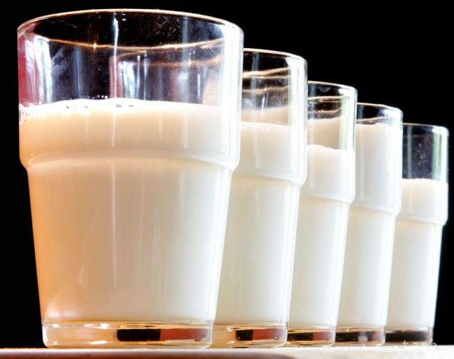 Semancik: Milk and Pork Production Sectors in Crisis