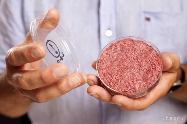 Minister: More Salmonella Found in Brazilian Meat in Slovakia
