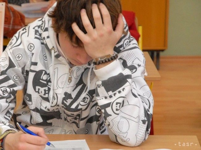 Slovak 15-year-old Pupils below OECD Average in Financial Literacy