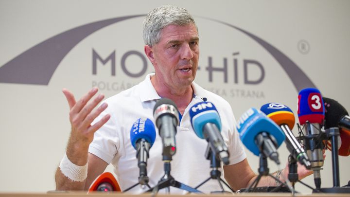 Bugar: Idea on Smer Ganging Up with Matovic Indicates Sunstroke