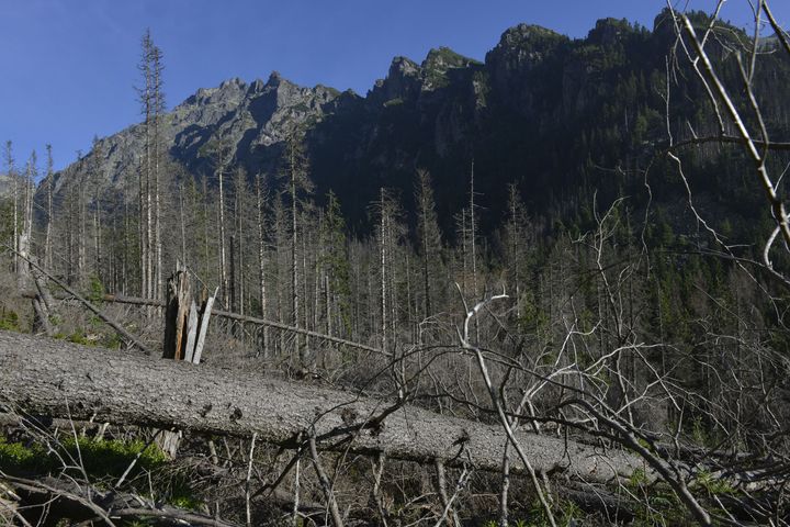 Environment Ministry Fires Back at Foresters over Floods in High Tatras
